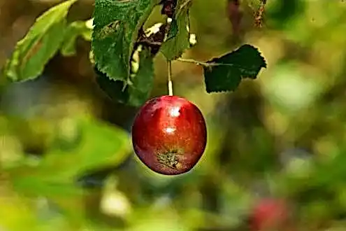 1xSlots зеркало 637b84