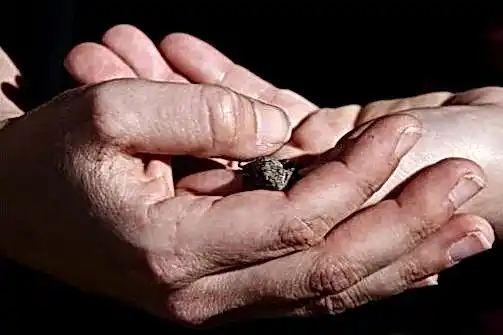 1xSlots сайт 785ecf